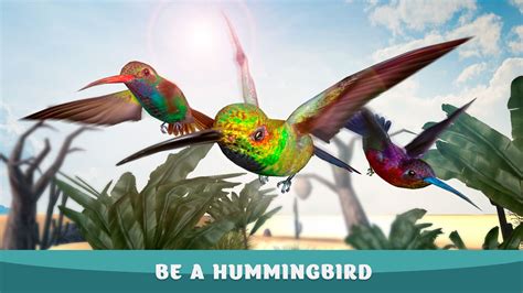 zelu hummingbird gameplay